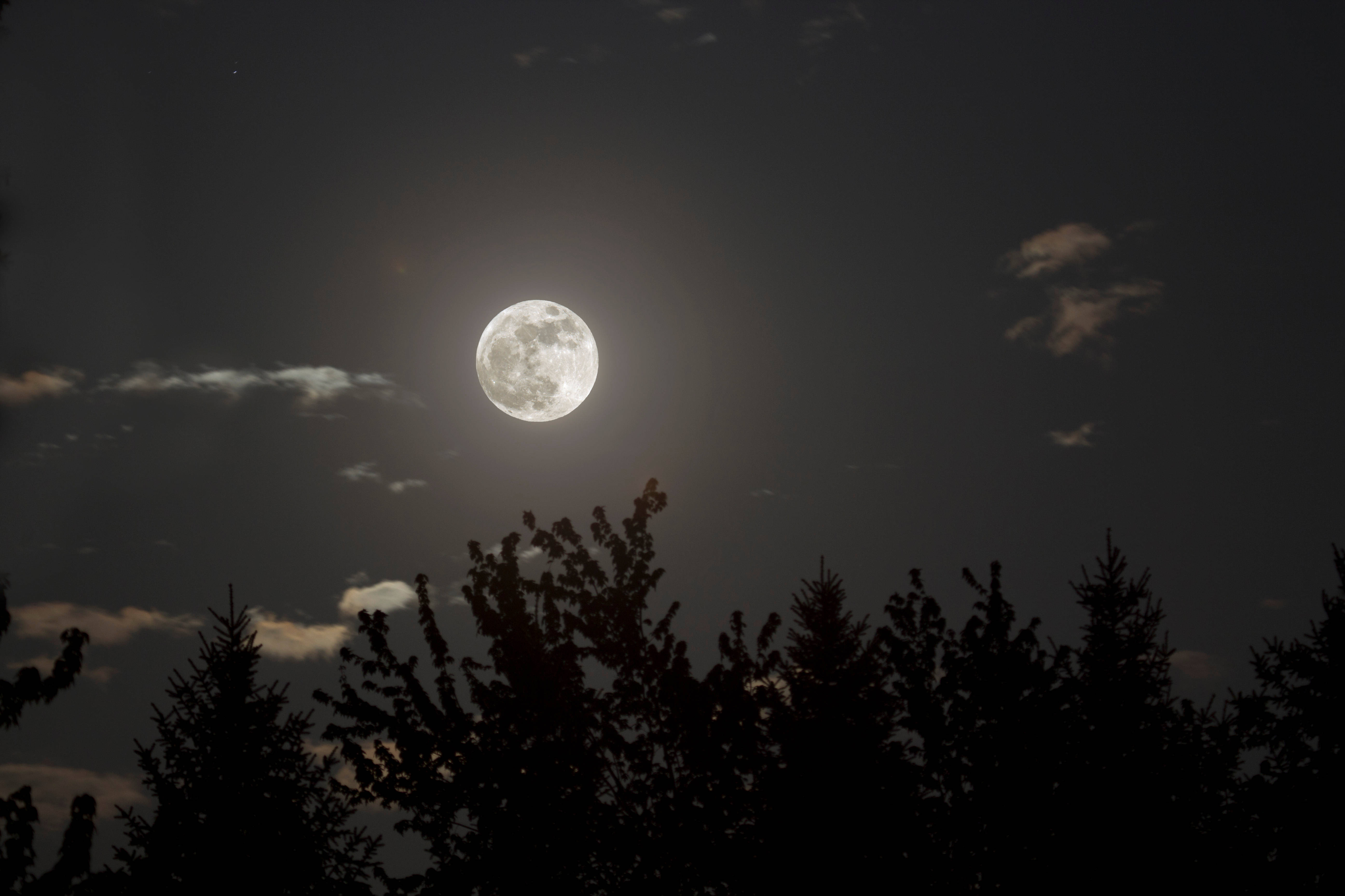 静寂の夜の美しい月 壁紙