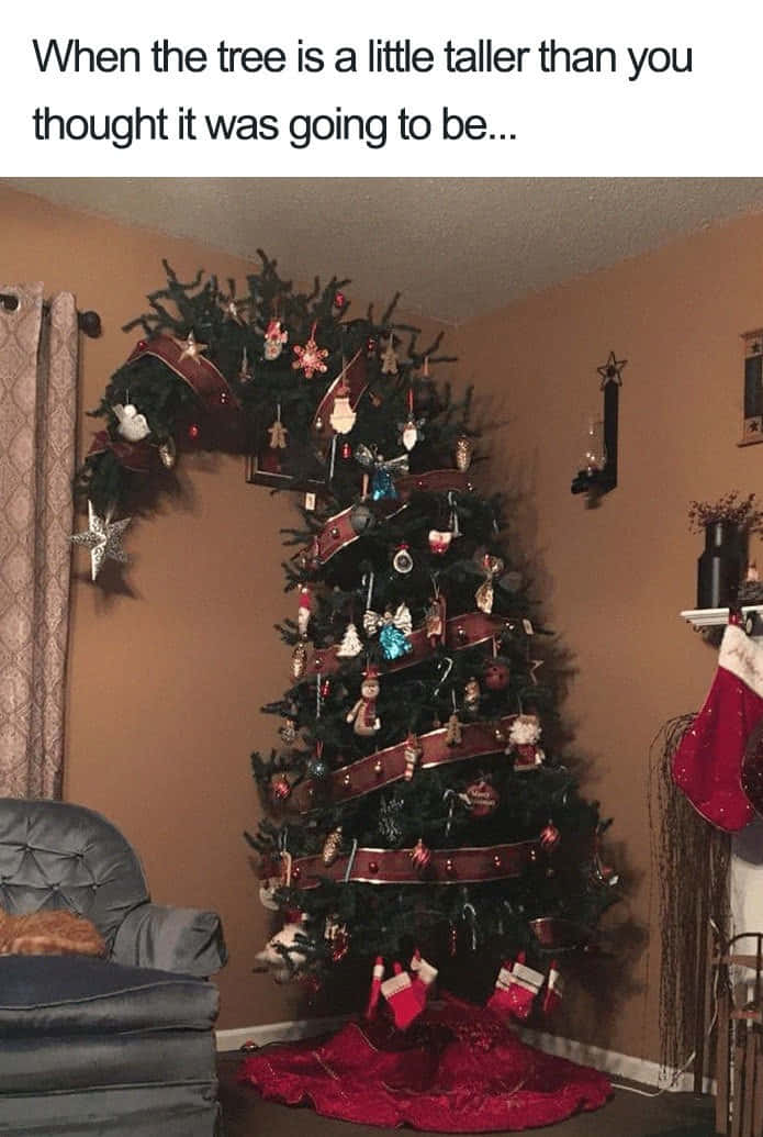 面白いクリスマスの写真 壁紙