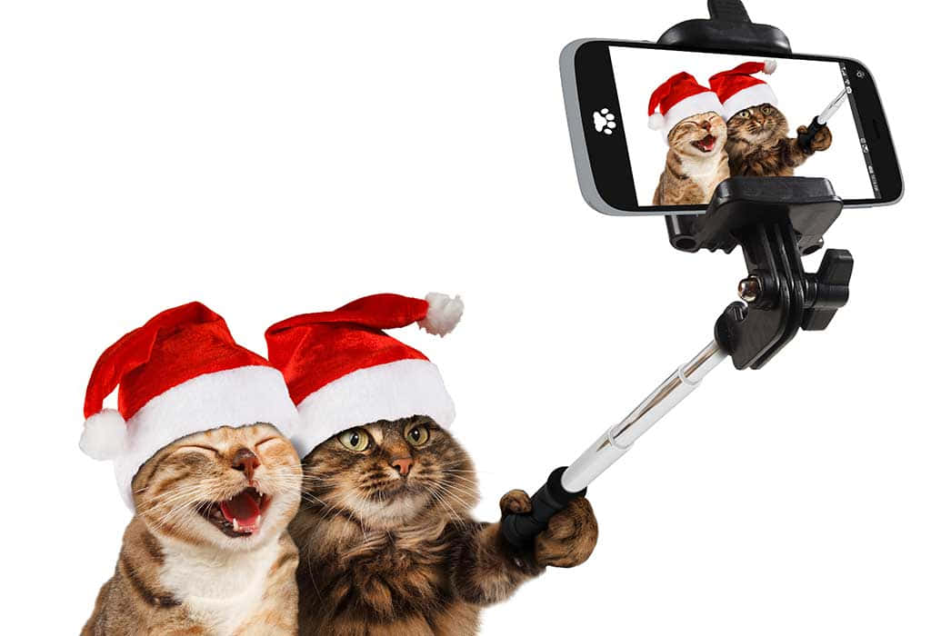 面白いクリスマス画像 壁紙
