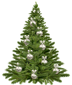 飾られたクリスマスツリー 黒背景 壁紙