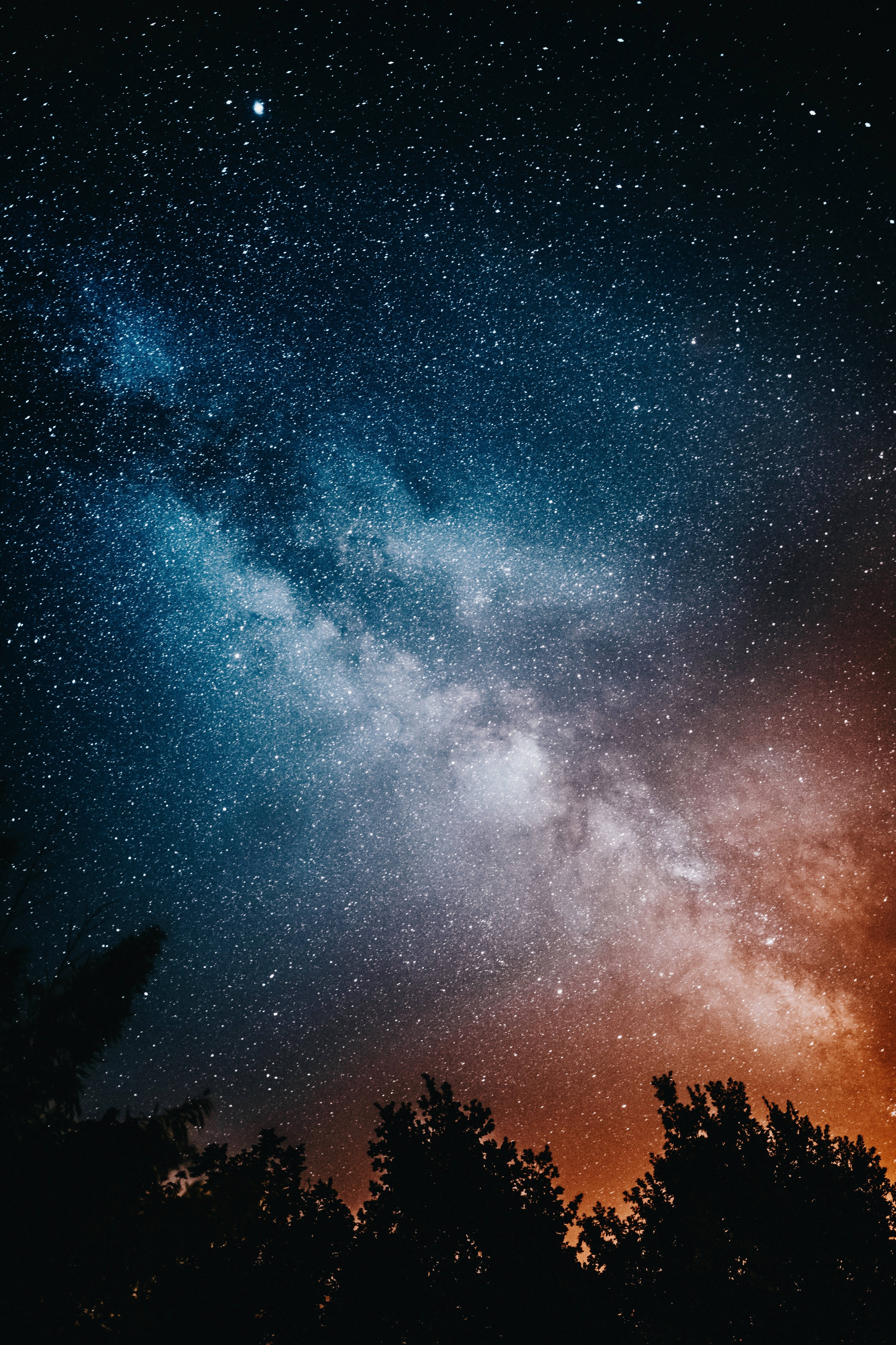 高解像度の星と木々 壁紙