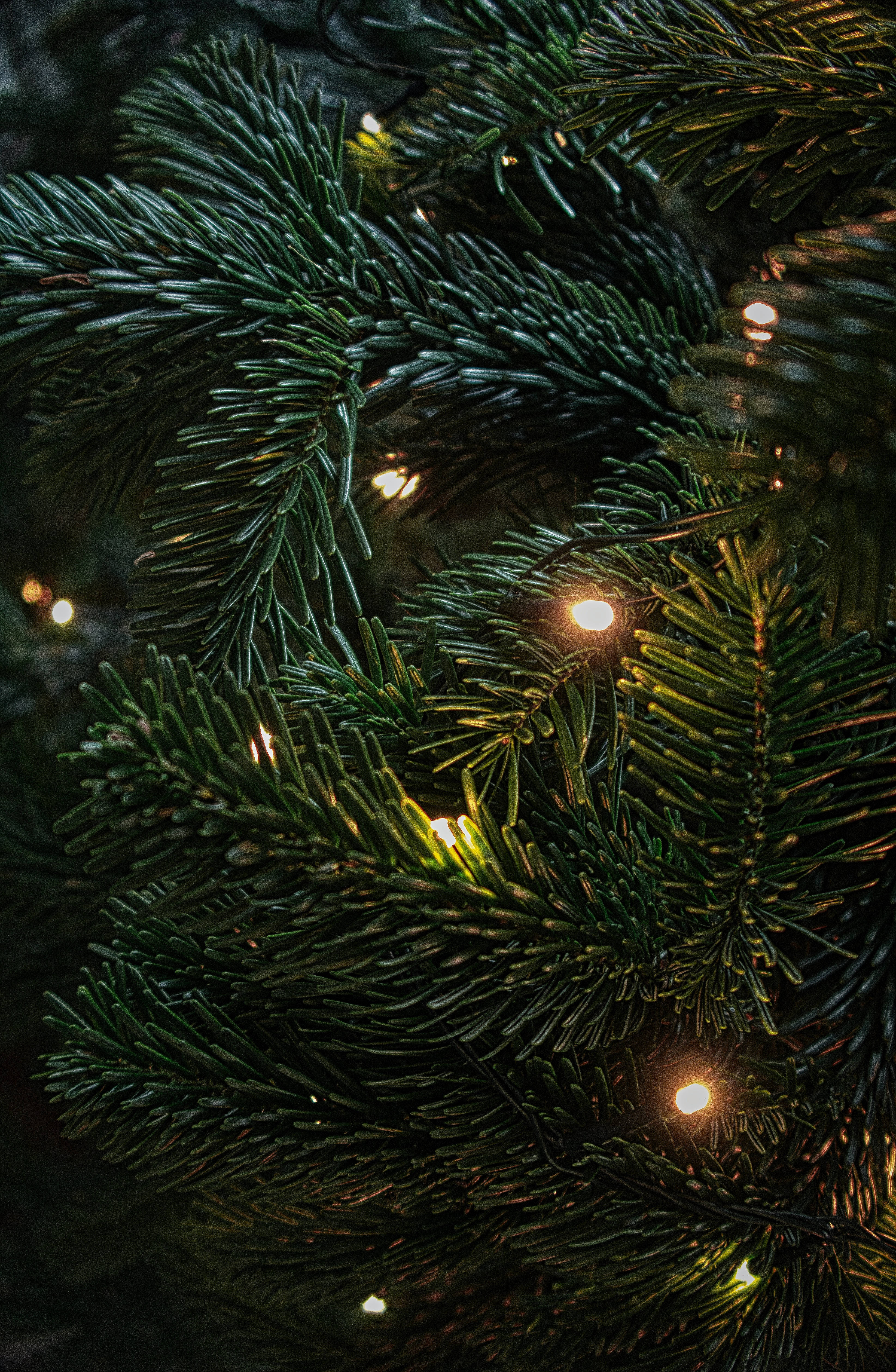 高解像度クリスマスライト 壁紙