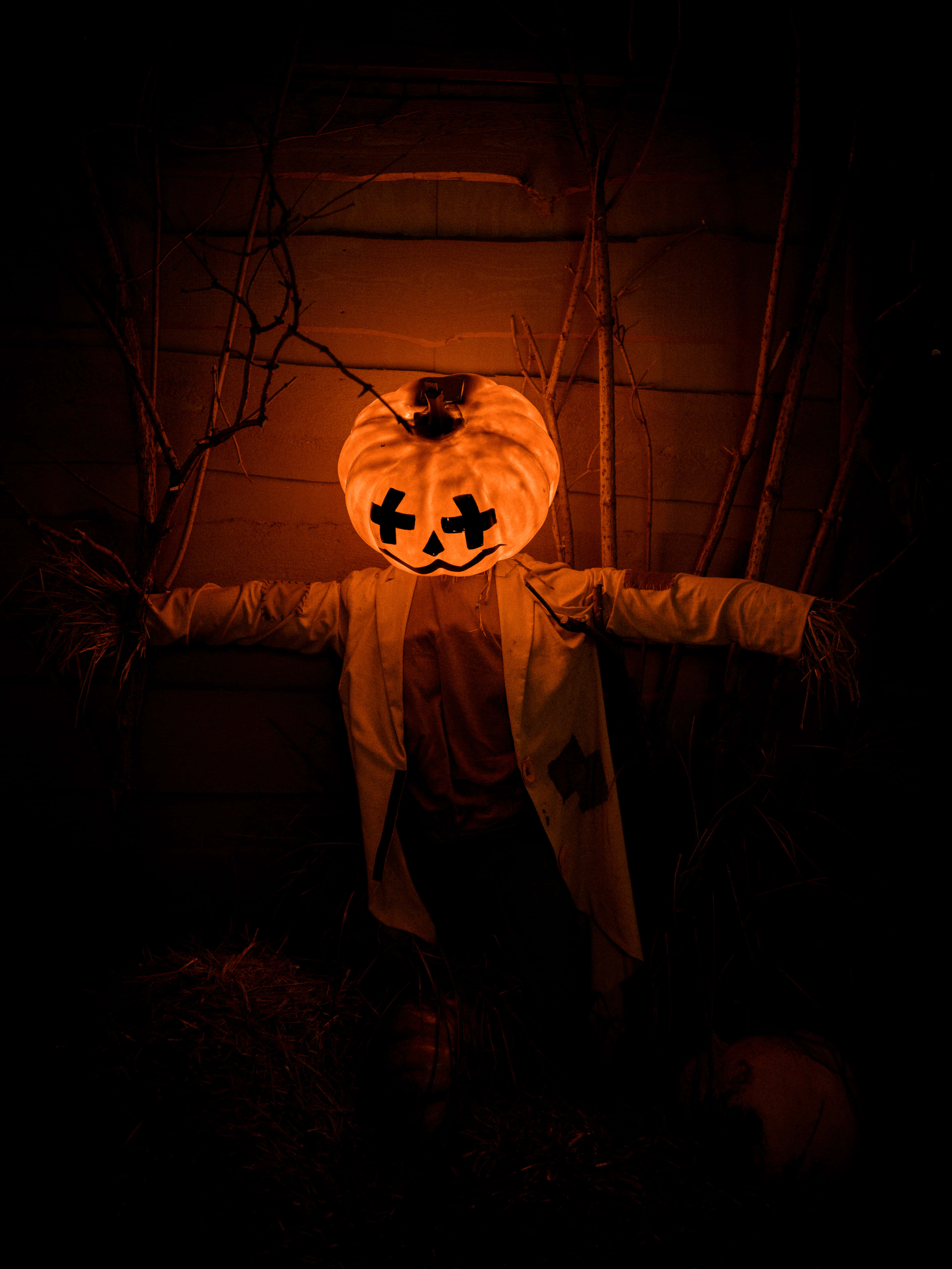 魅惑のハロウィンカボチャ、秋の夜に 壁紙