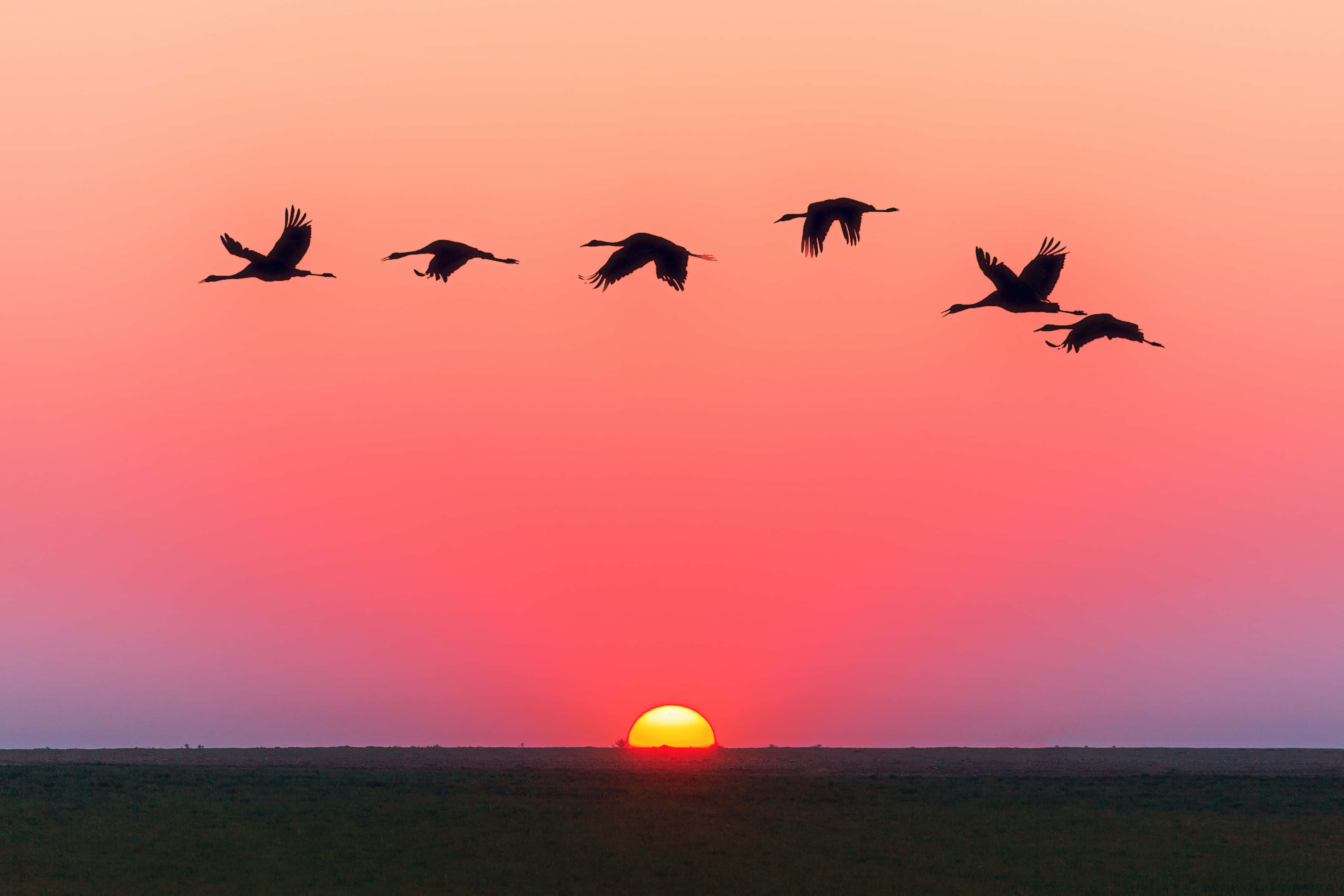 魅惑の夕日を楽しむ 壁紙
