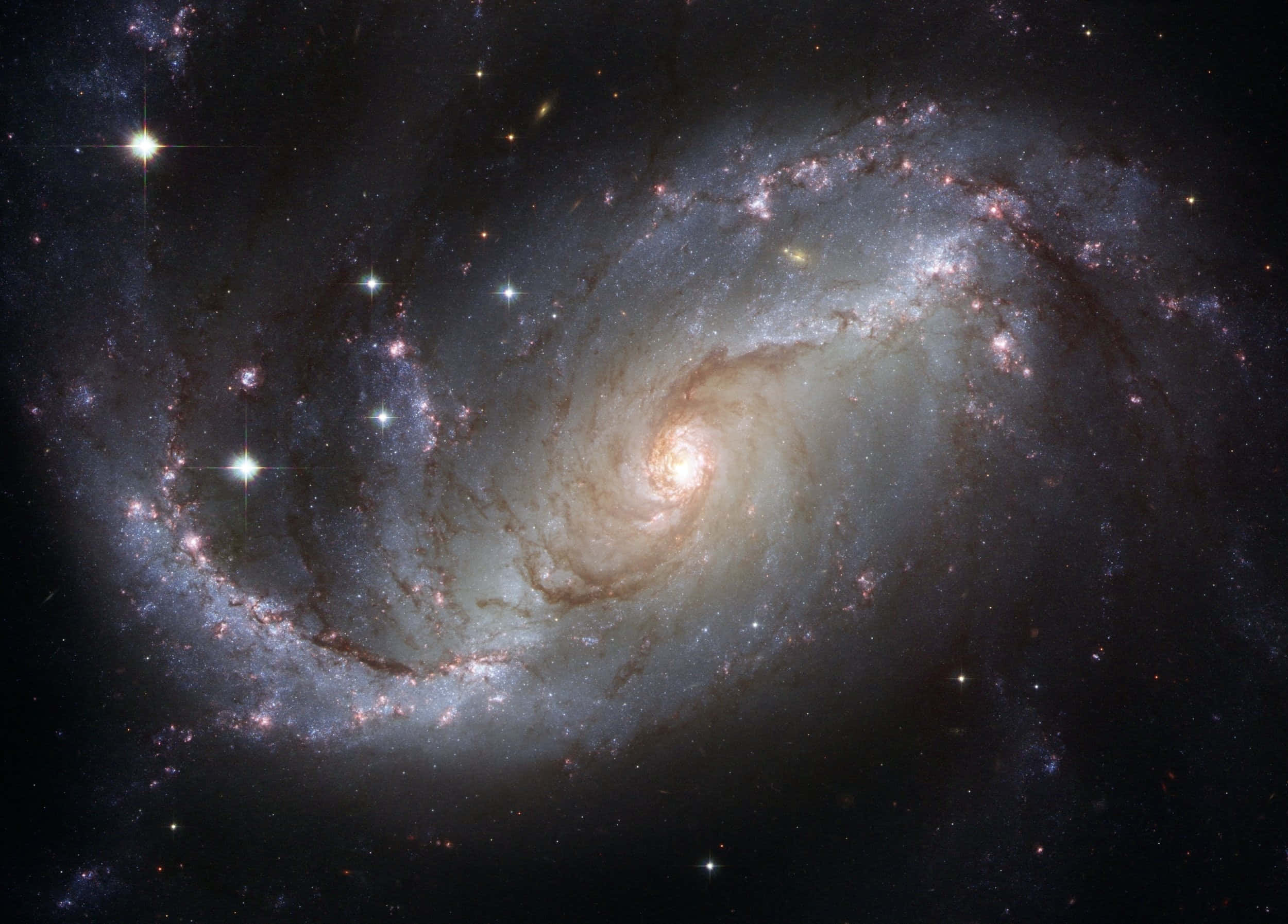 魅惑の星空を見上げて 壁紙