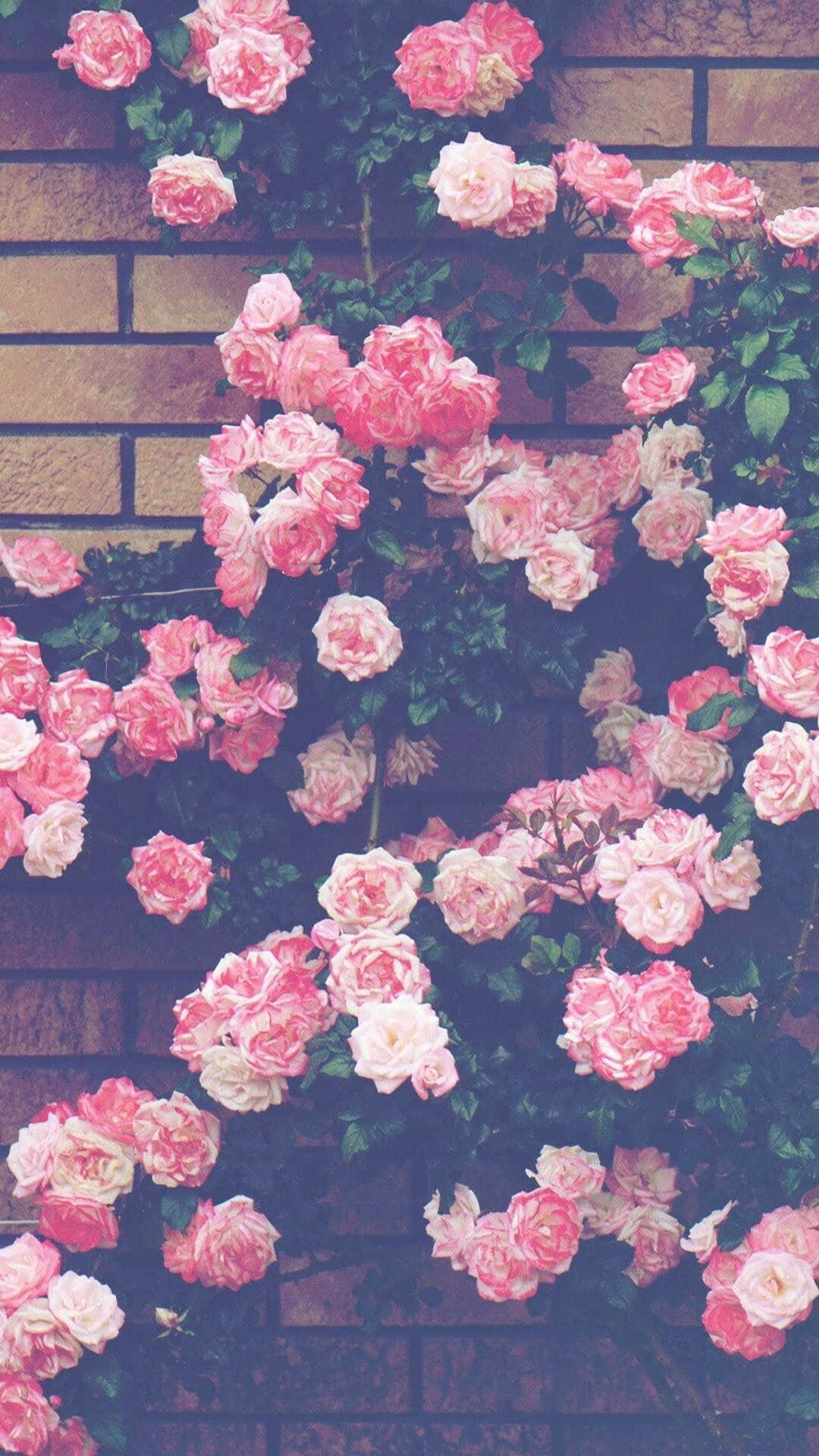 魅惑の春の花々 壁紙