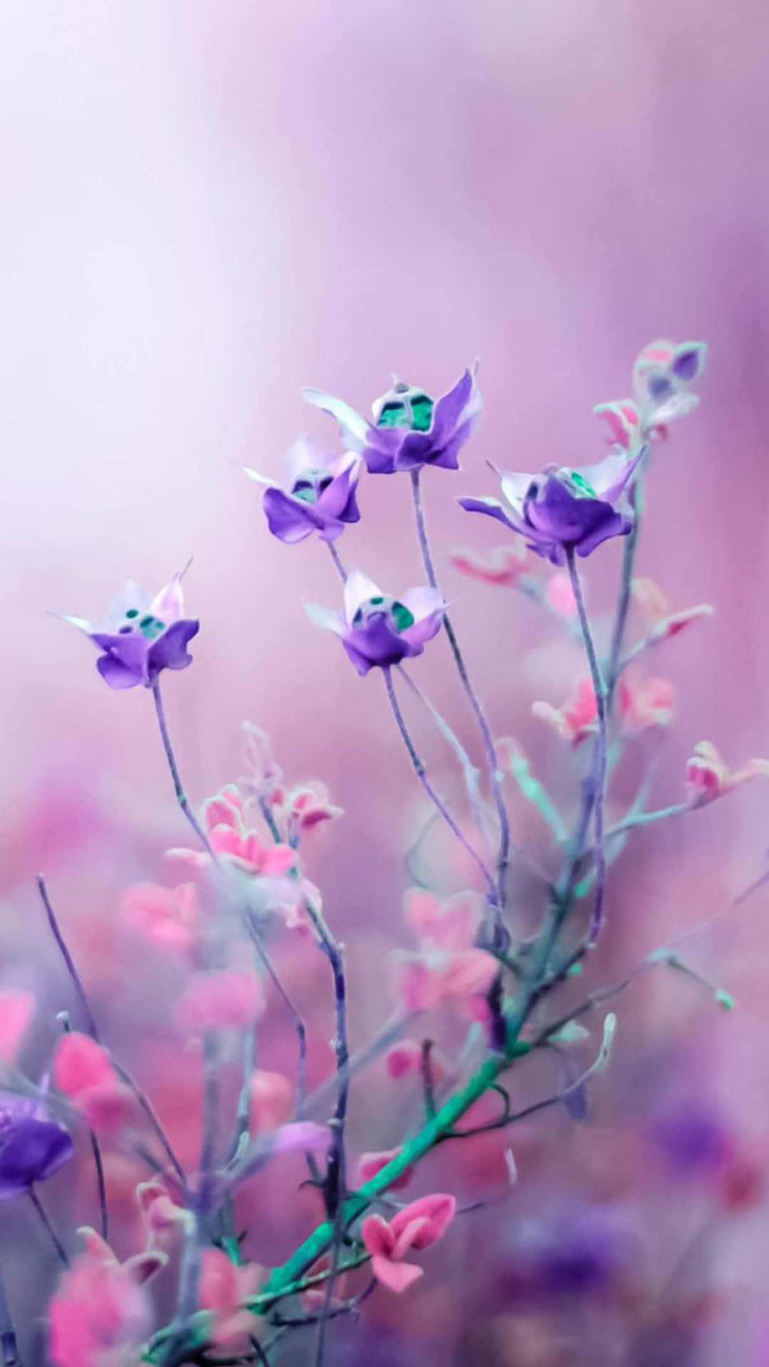 魅惑的なピンクの花の背景 壁紙