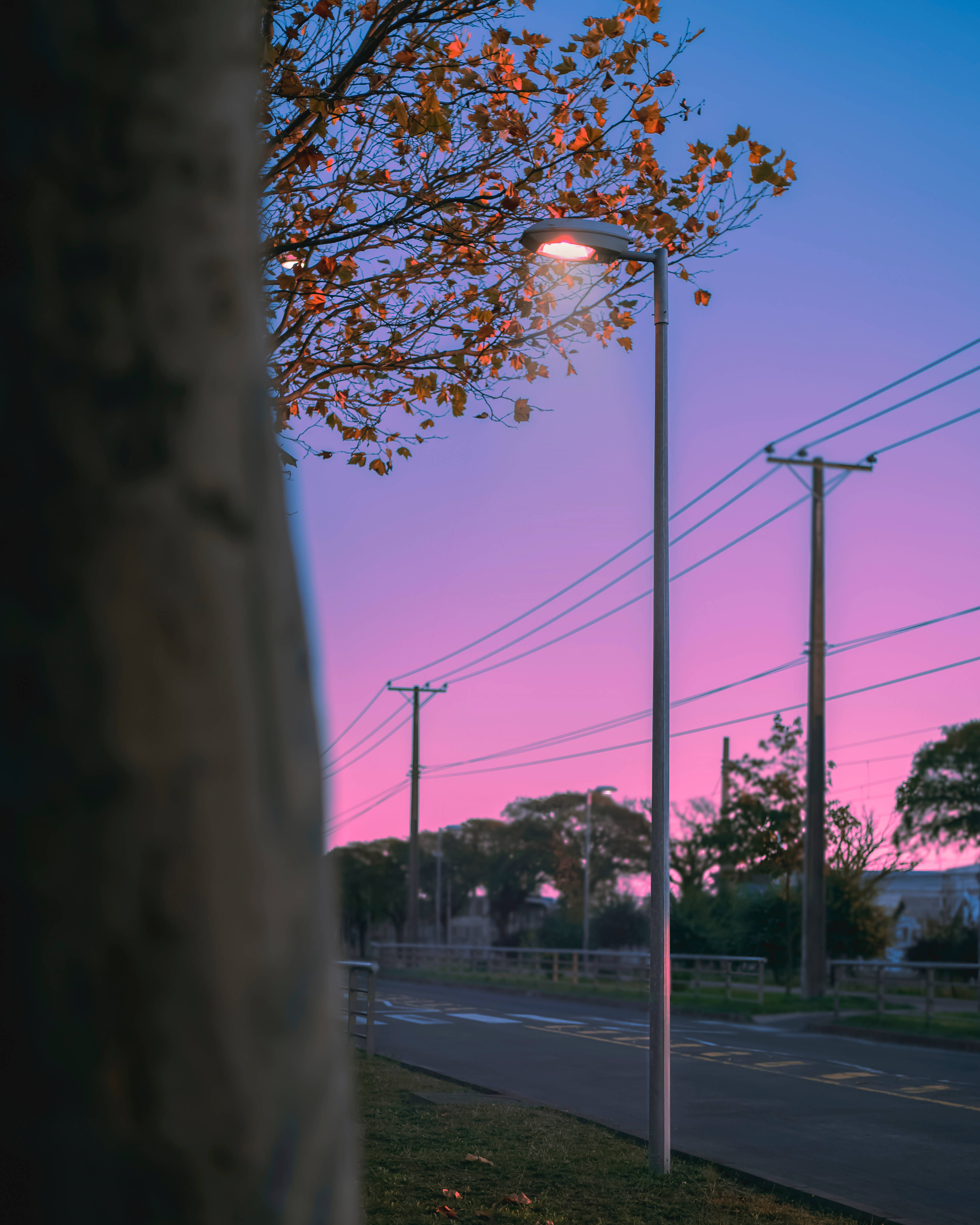 魅惑的な淡い紫の美しい空 壁紙
