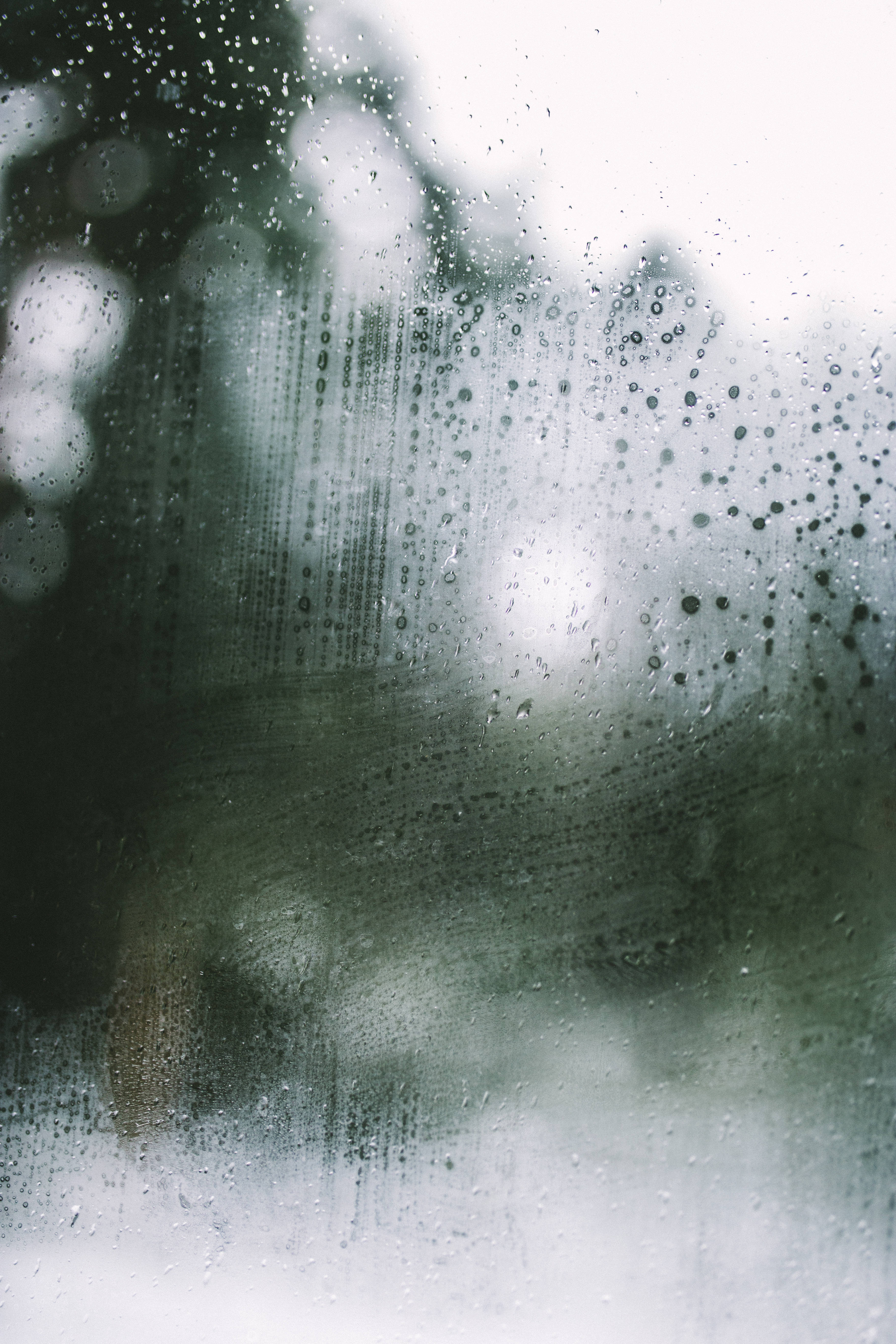 魅惑的な雨の日 壁紙