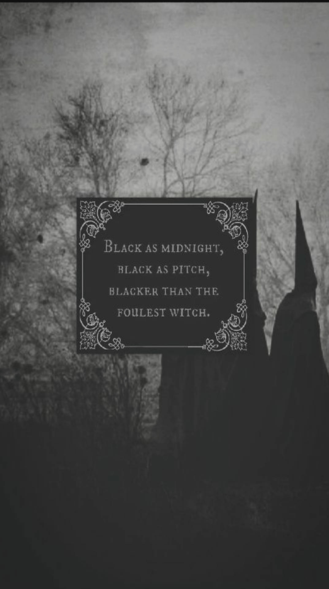 魔女の美学の詩 壁紙