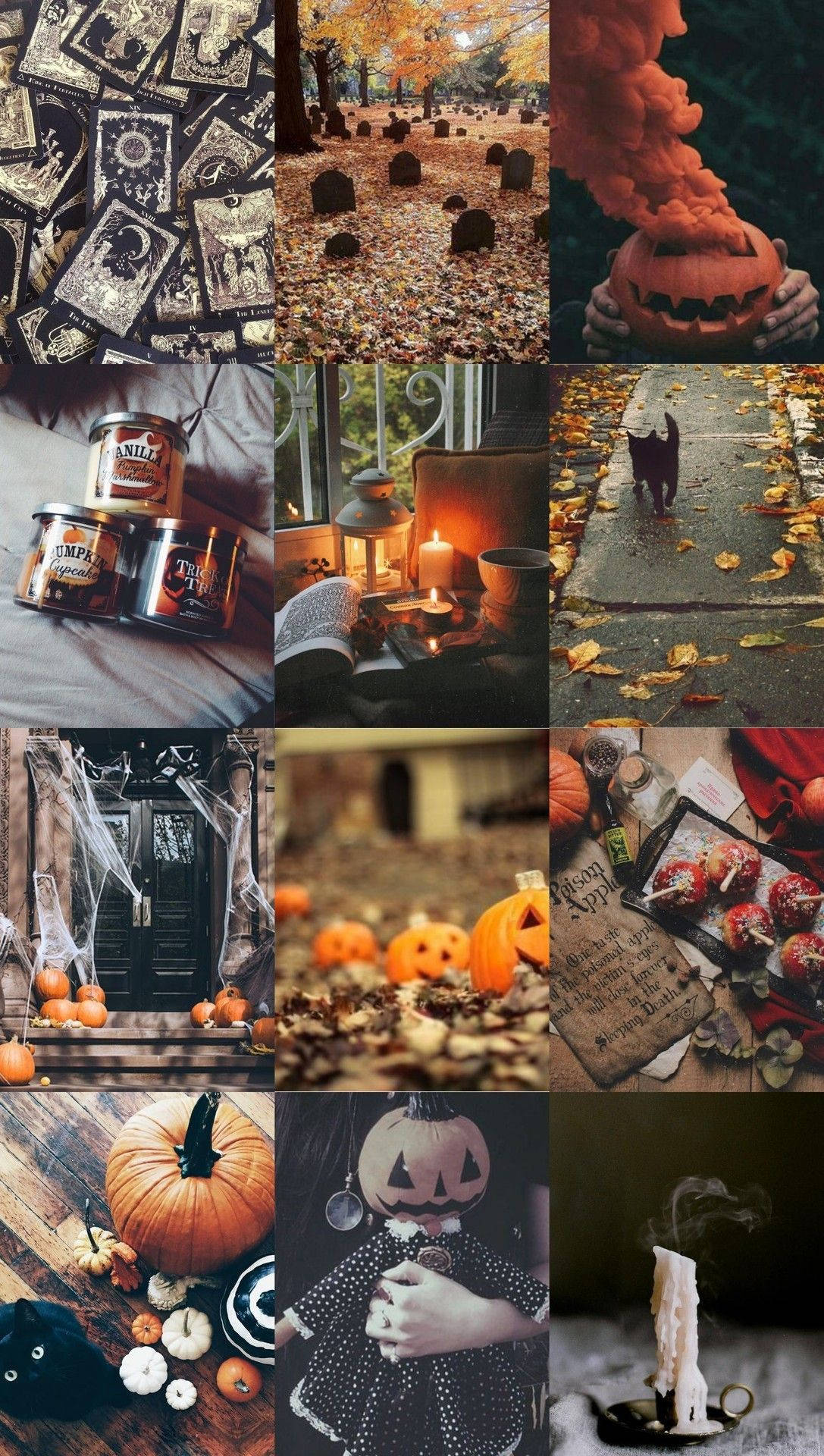 魔女的なハロウィンの美学 壁紙
