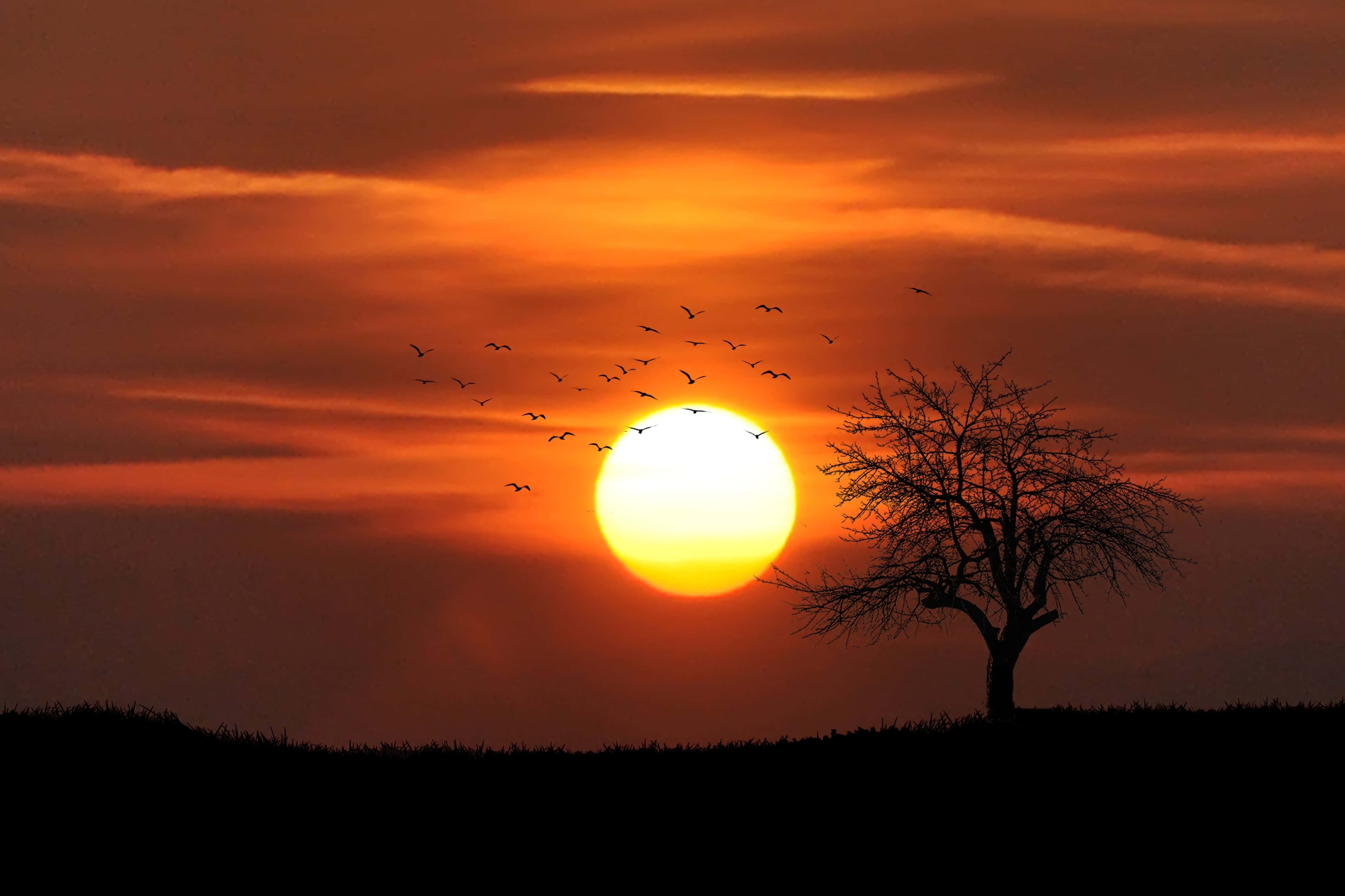 魔法の夕日 壁紙