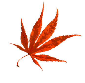鮮やかな秋の紅葉 壁紙