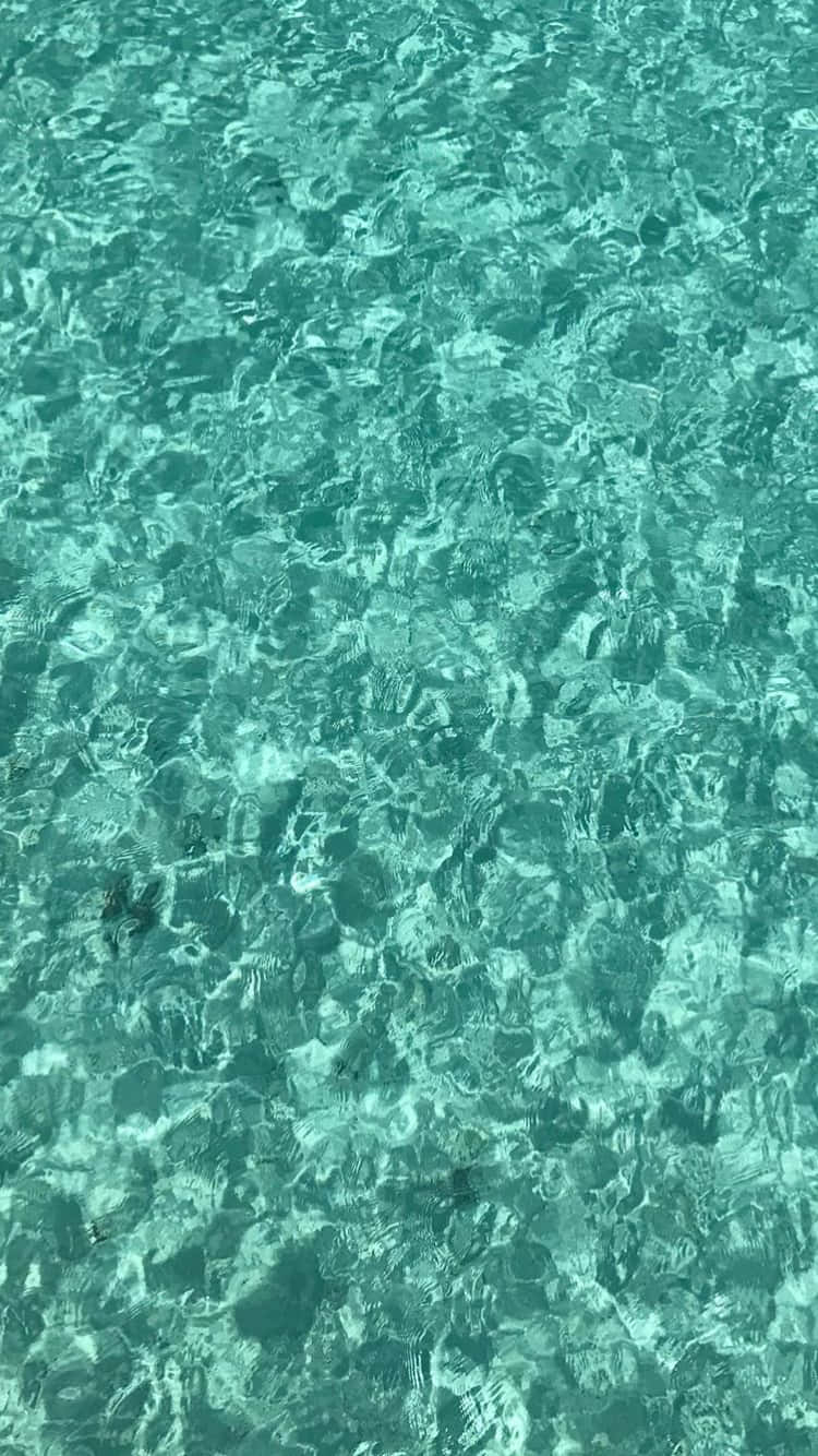 鮮やかな緑色のプールの水しぶき 壁紙