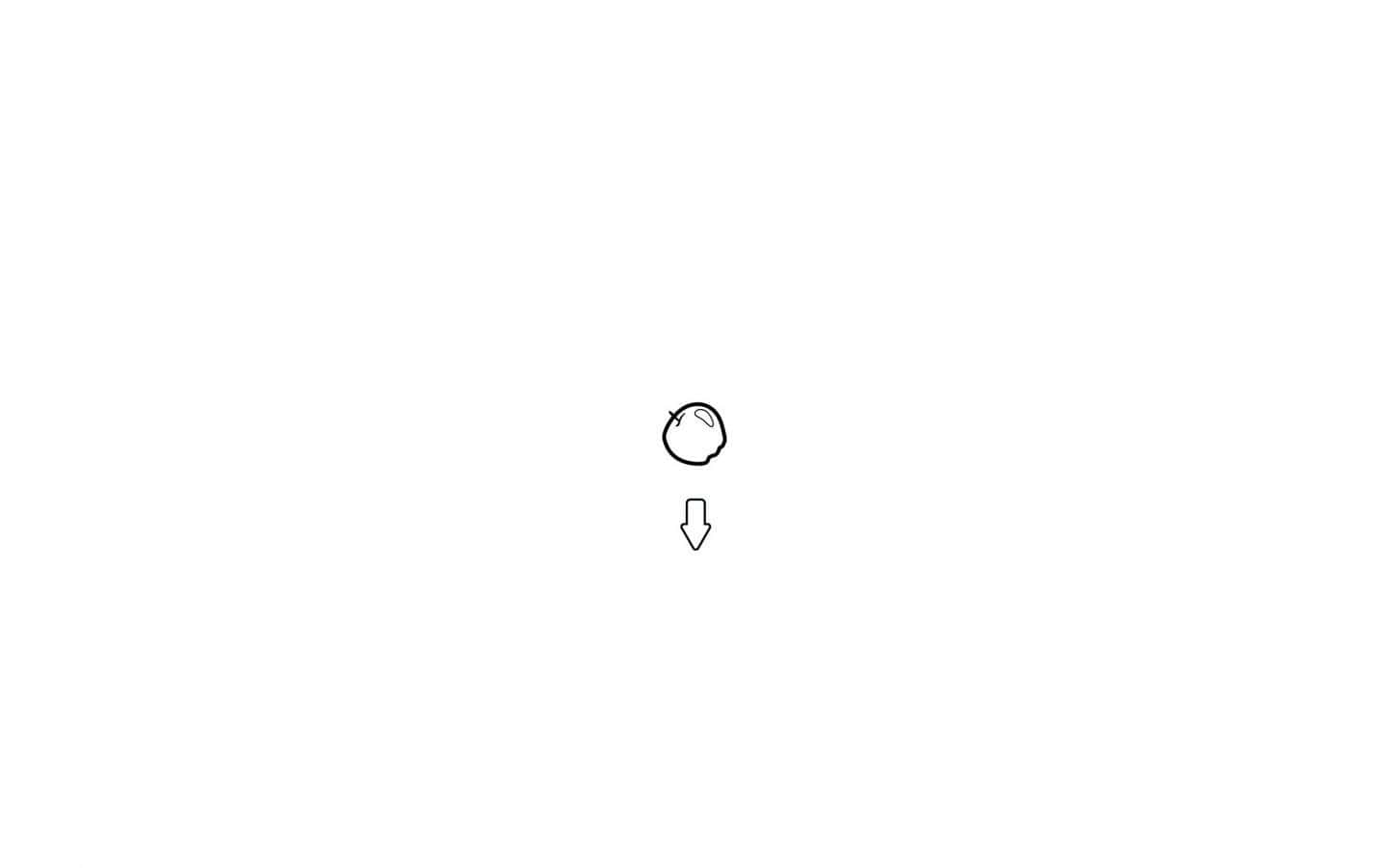 鳥の白黒イラスト 壁紙