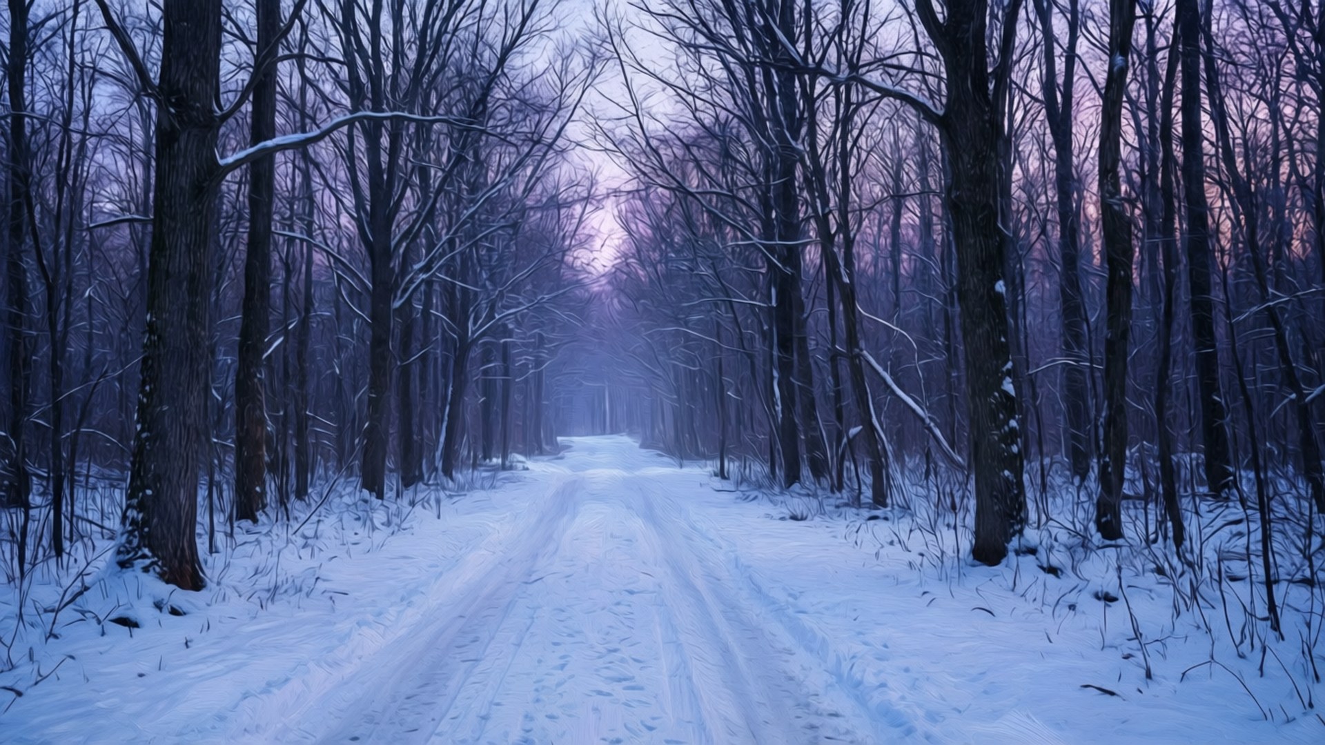 黄昏の雪の森 壁紙