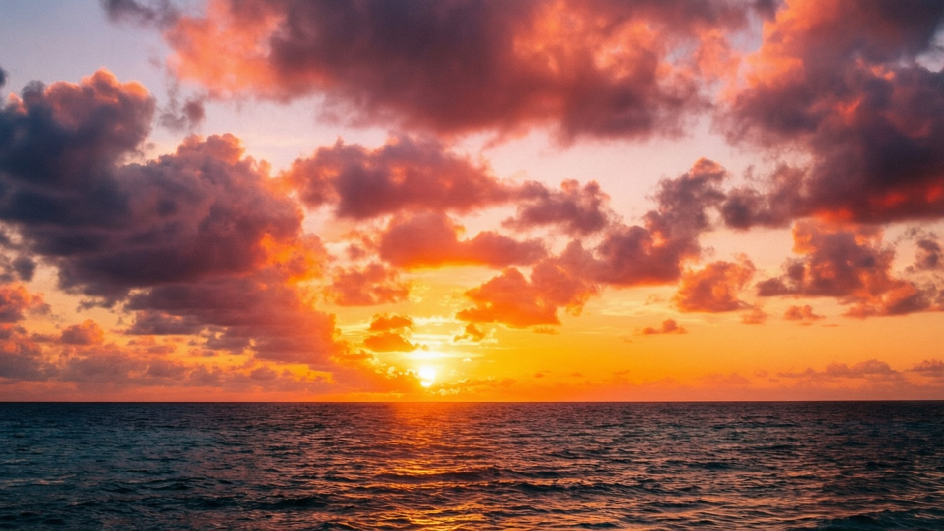 黄金の夕日 壁紙