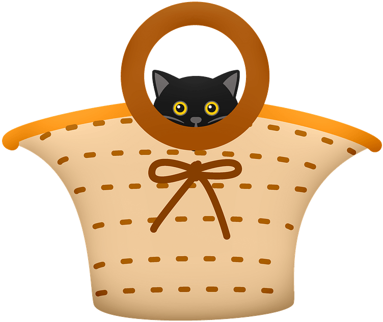 黒い猫のバスケットグラフィック 壁紙