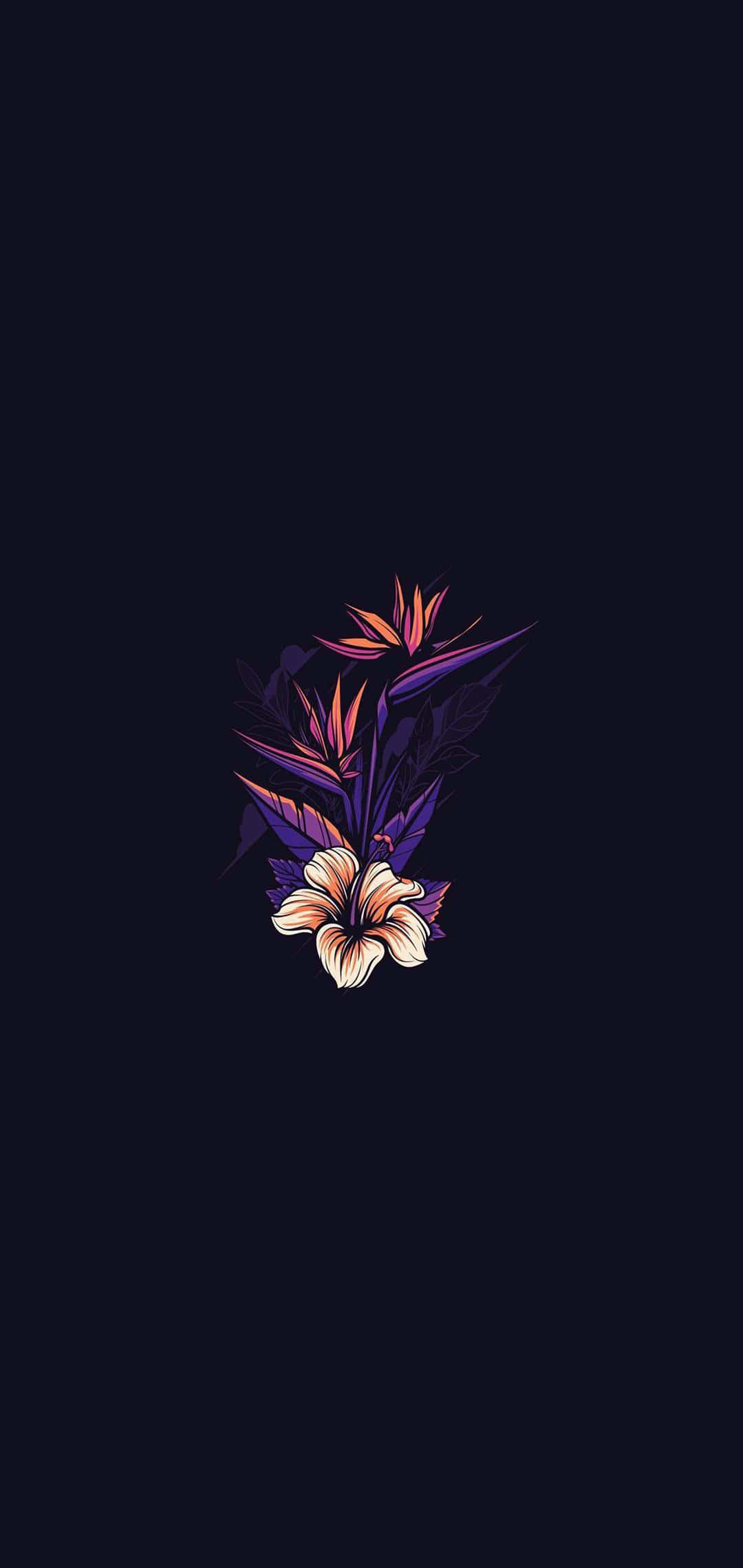 黒い背景に映える紫色の花 壁紙