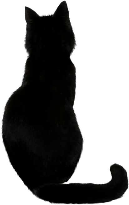 黒猫のシルエット 壁紙