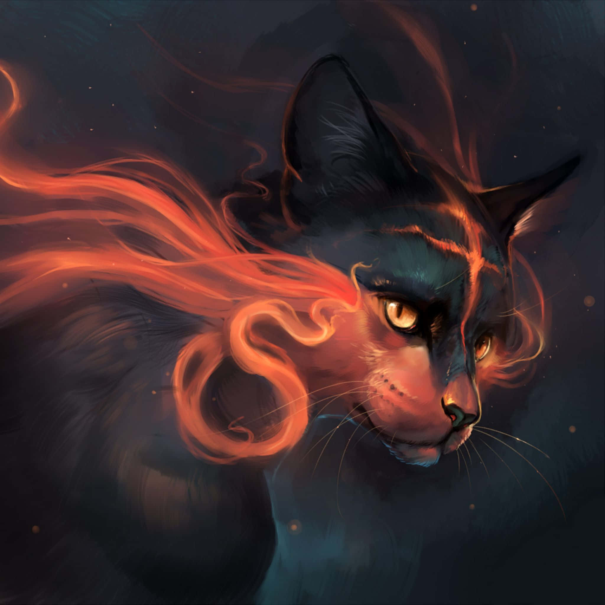 「黒猫の夜」 壁紙