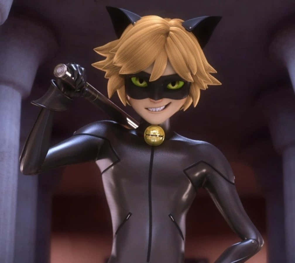 「黒猫ノワールが今日もやってくる！」 壁紙