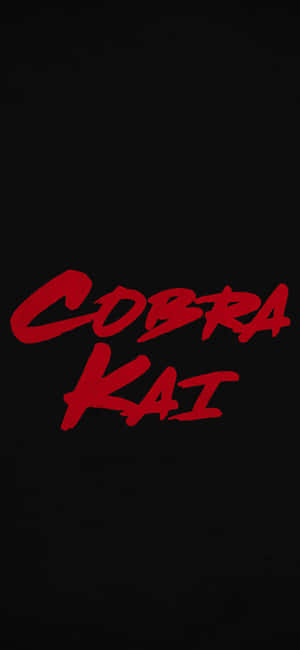 Cobra Kai iPhone XR 背景 — RedMagic 壁紙