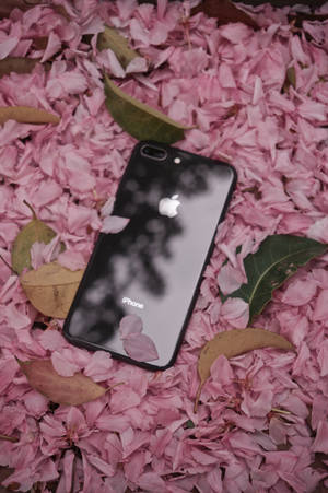 iPhone 8 フラワーズ