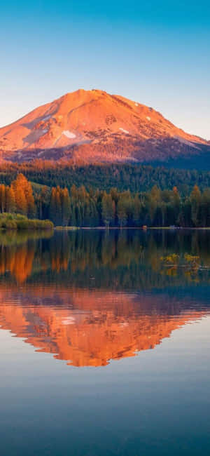 iPhone Xs California 背景 — OnePlus 13T 壁紙
