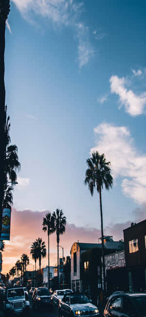 iPhone X カリフォルニア背景 — OnePlus 12 壁紙