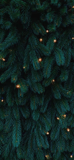 クリスマスiPhone背景 — iPhone 13 Mini 壁紙