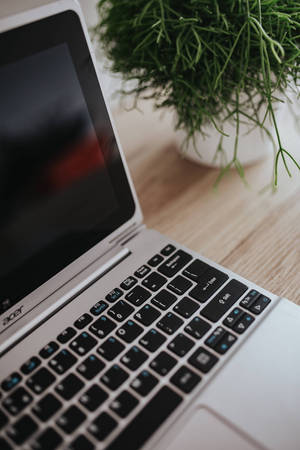 iPhone机のクローズアップと植物 — MacBook 壁紙