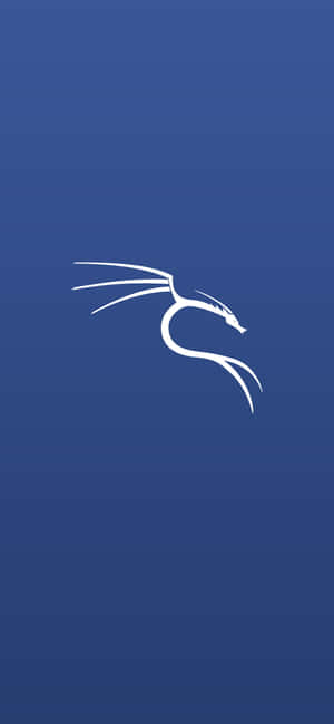 Kali Linux 背景 — IQOO 15R 壁紙