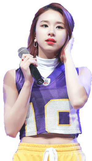 Kpop スターパフォーマンスマイク