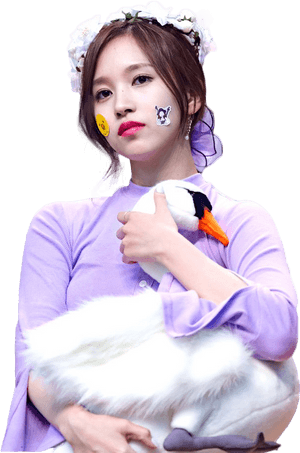 Kpopスターとぬいぐるみの白鳥