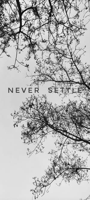 Never Settle 白黒の木 — iPhone 14 Pro 壁紙