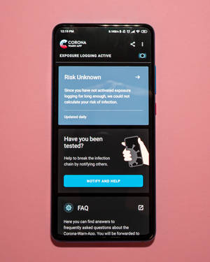 Nokiaスマートフォン ローズ背景 — ノキア 壁紙