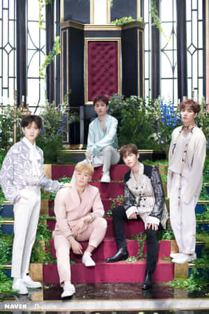 nuest — Kpop GIF 壁紙