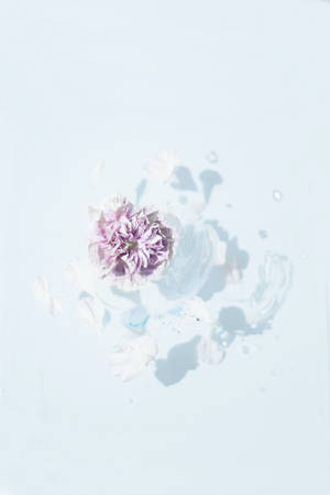 Samsung S20 Ultra ピンクの花