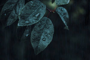 Samsung S20 Ultra 水滴 — Samsung galaxy s22 壁紙