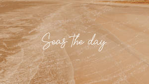 Seas The Day クリーム系エステティック