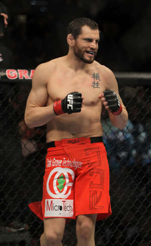 UFC 141 オクタゴンに立つジョン・フィッチ — Xiaomi Pad Mini 壁紙