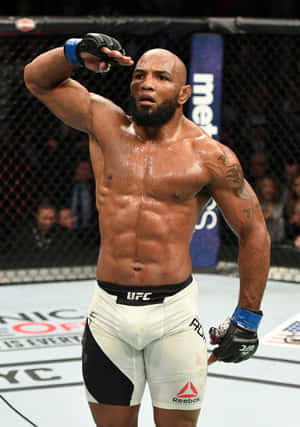 UFC 205でのヨエル・ロメロの敬礼ポーズ — Vivo Pad5 壁紙