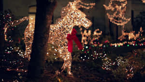 おしゃれなクリスマス画像 — クリスマス エスセティック 壁紙