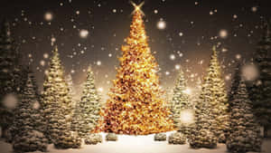 クリスマスツリーの背景 — クリスマスツリー 壁紙