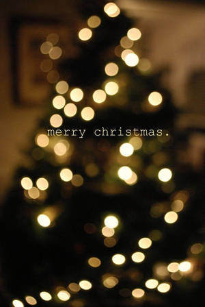 かわいいおしゃれなクリスマスツリーのシルエット — クリスマスツリー 壁紙