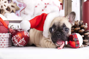 かわいいおしゃれなクリスマス画像