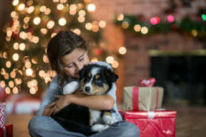 かわいいクリスマス画像 — Funny christmas 壁紙