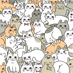 かわいい猫の画像 — かわいい猫 壁紙