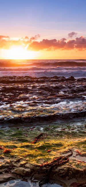 iPhone X カリフォルニア 背景 — Realme 壁紙